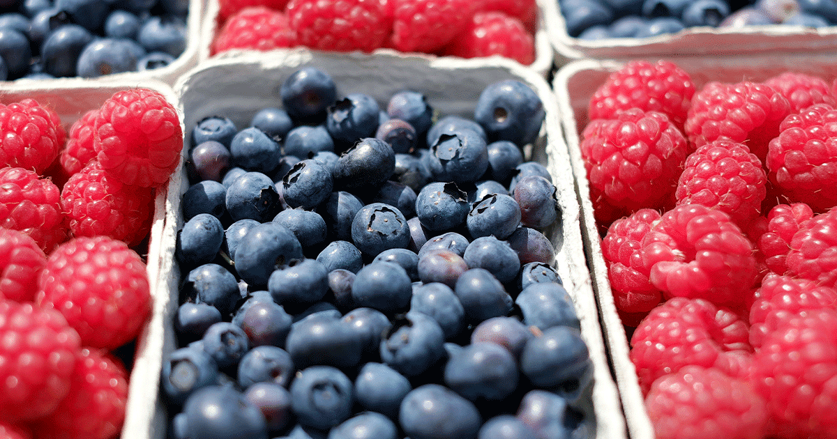 Referenciais de segurança alimentar na indústria: qual a melhor opção?