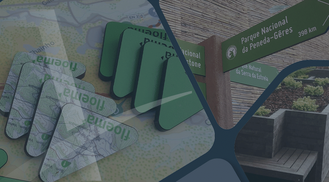 Floema Case Study: Rumo ao Alto Desempenho