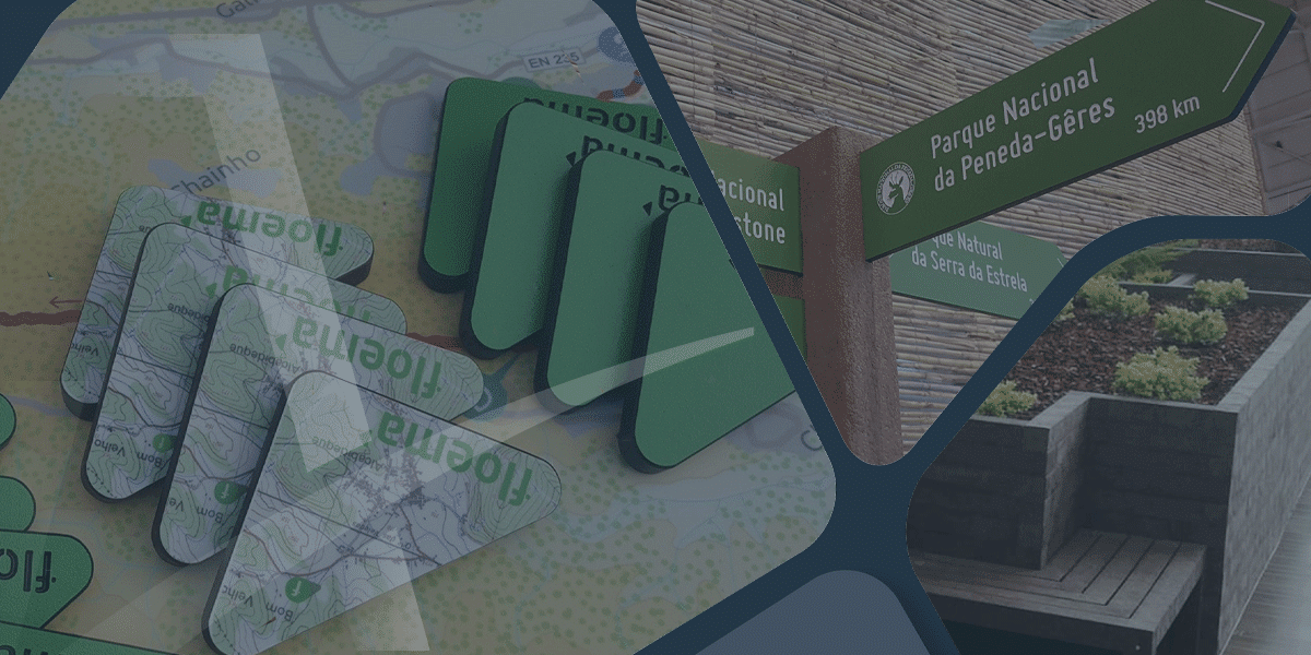 Floema Case Study: Rumo ao Alto Desempenho