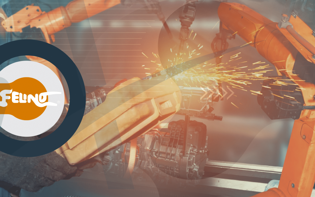 Implementação do ACCEPT OEE na FELINO: Case Study