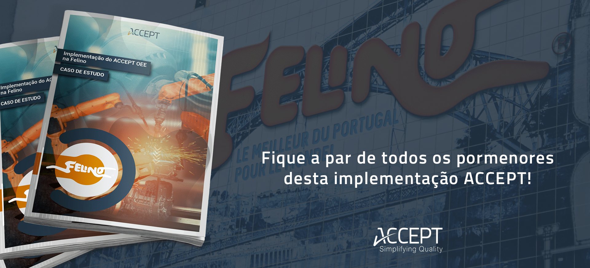 Felino Case Study