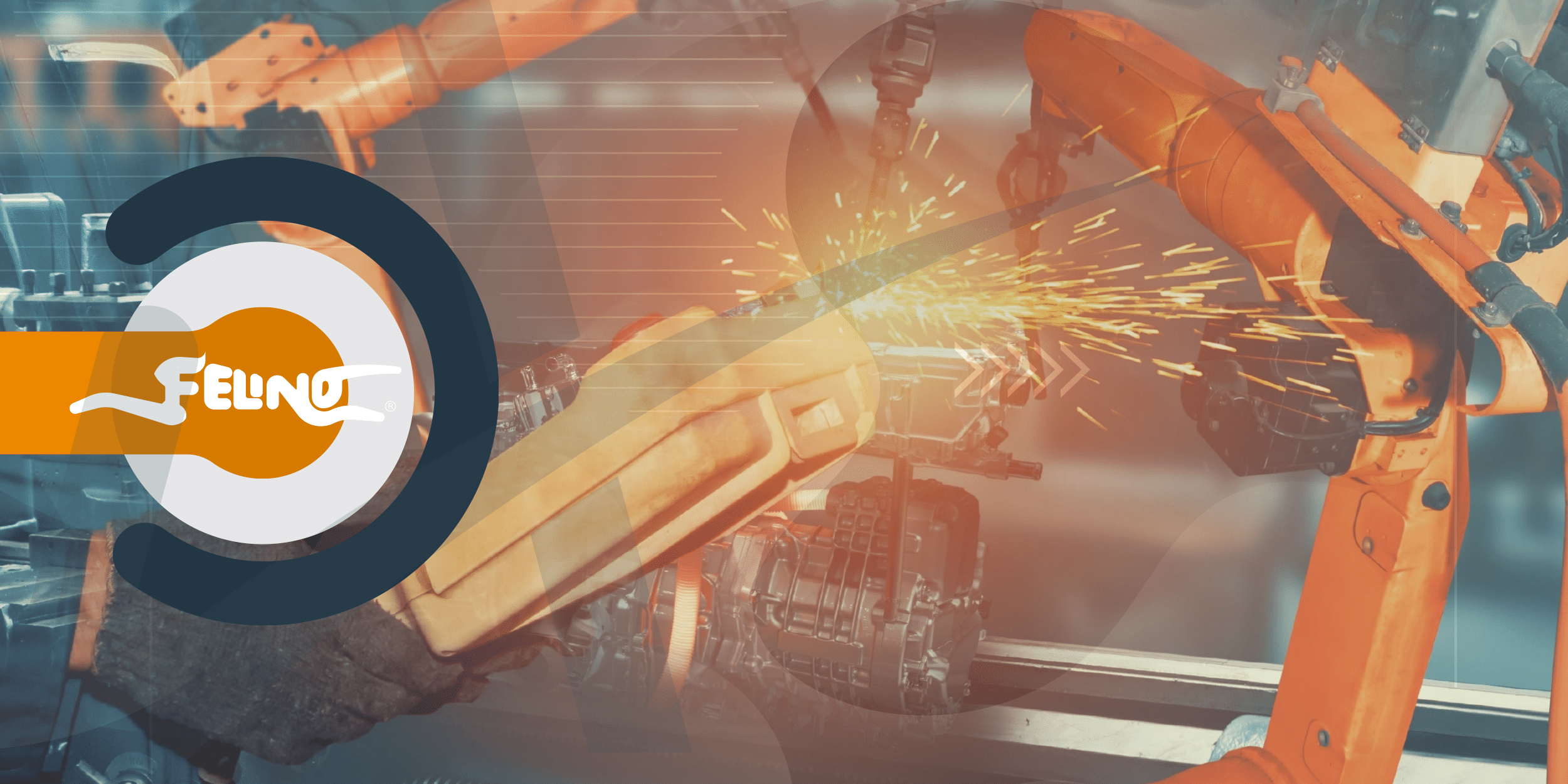Implementação do ACCEPT OEE na FELINO: Case Study