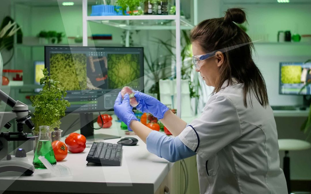 Boas práticas de Higiene e Segurança Alimentar