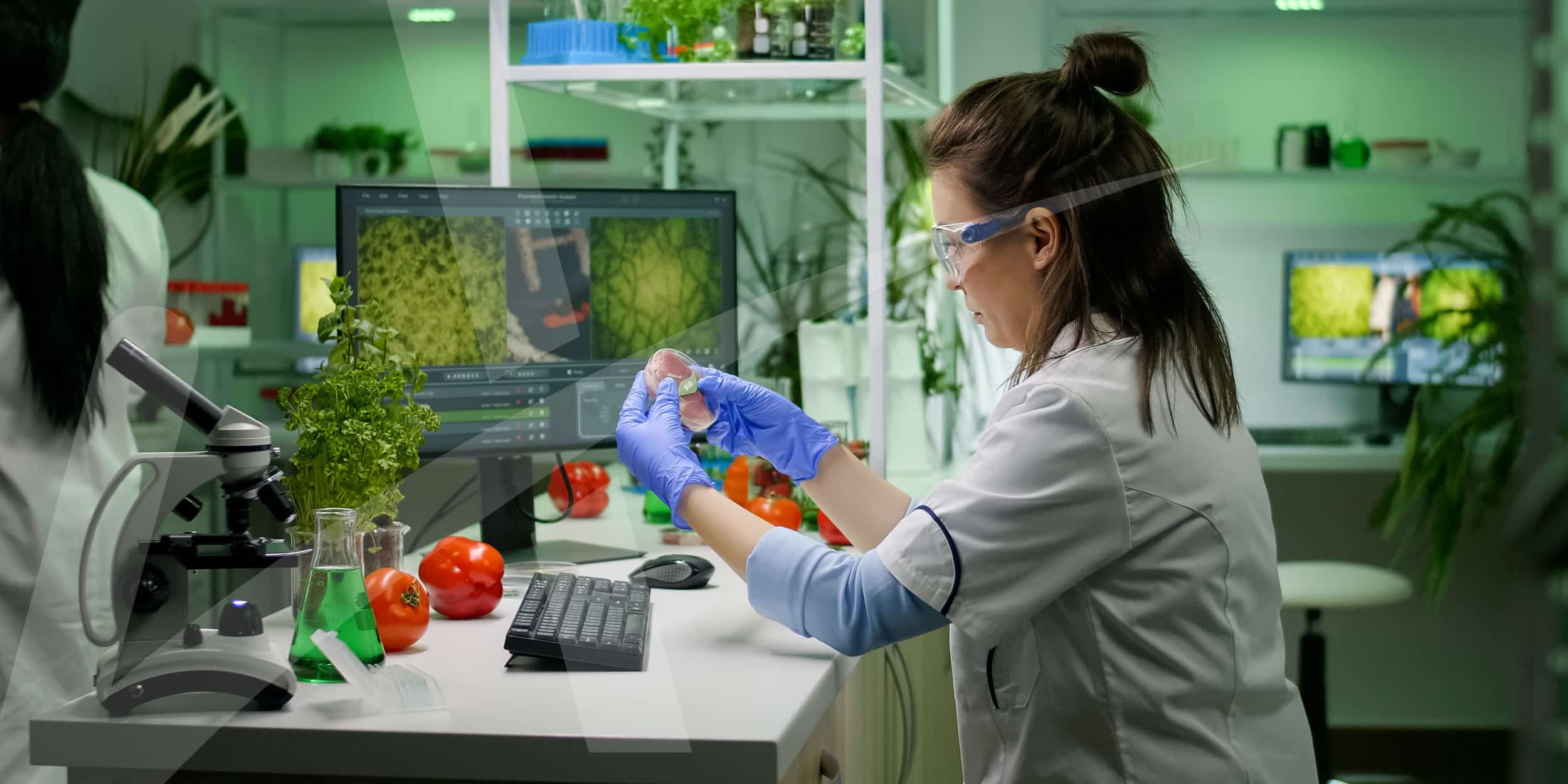 Higiene e segurança alimentar