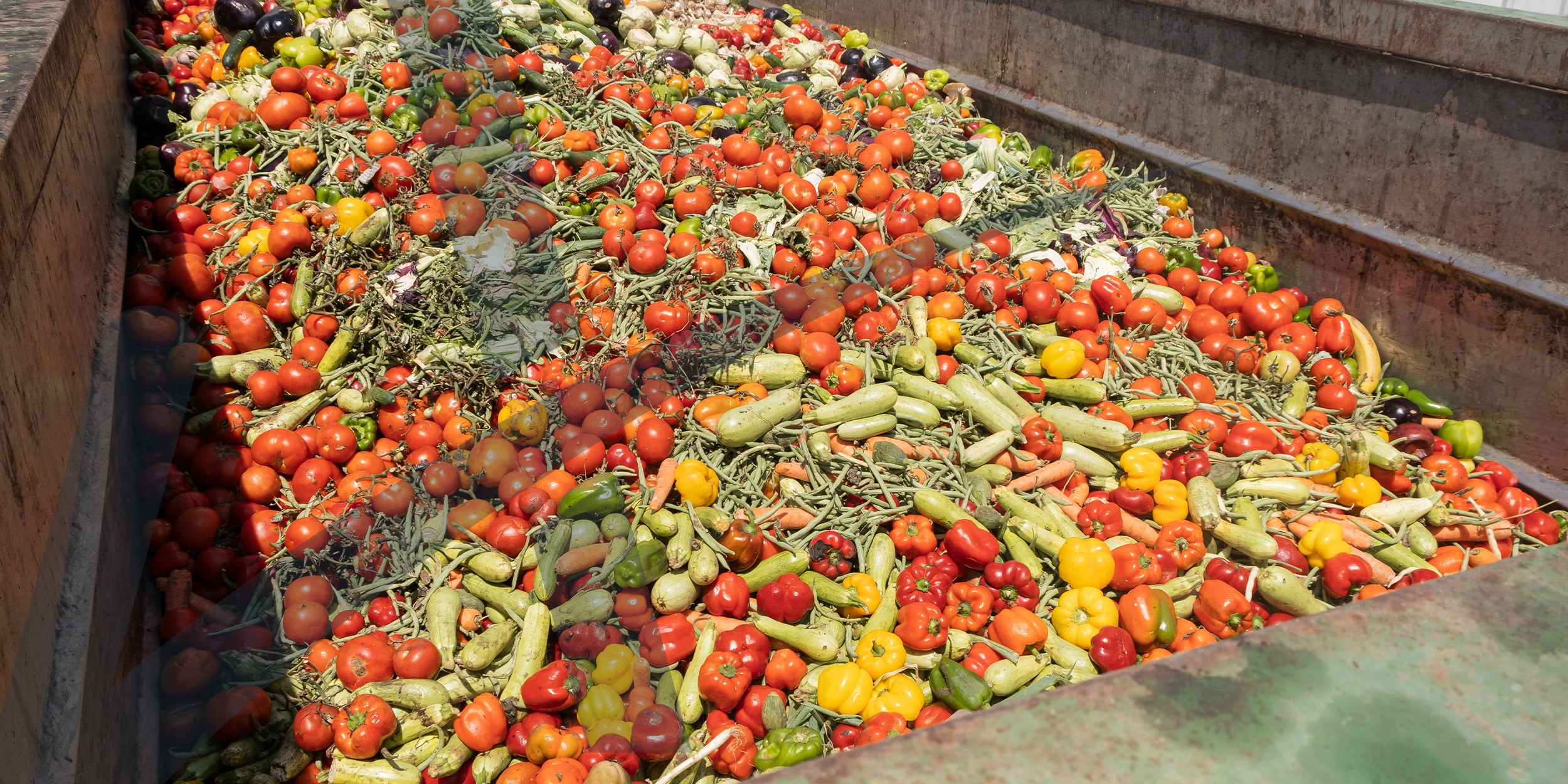 Desperdício Alimentar na Indústria: como superar o desafio?