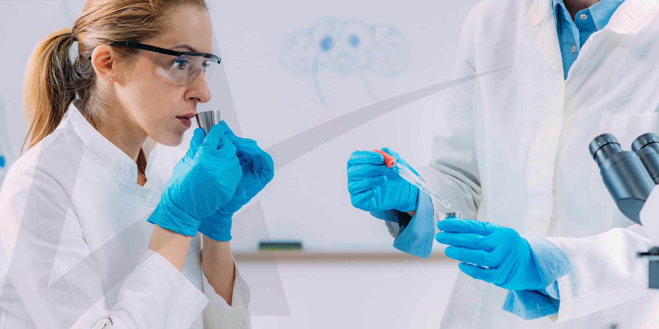 Análise Sensorial: Eficiência e Precisão na Gestão de Provas